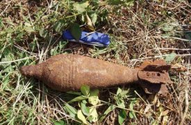 В Тульской области обнаружили два боеприпаса времен войны