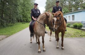 Центральный парк Тулы начала патрулировать конная полиция