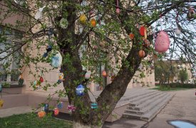 Погода в Туле на Пасху: +8, пасмурно и дождь