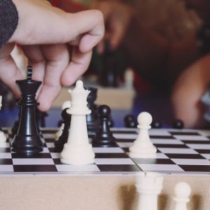 Тульские школьники приняли участие в шахматном онлайн-турнире