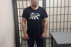 В Тульской области задержали виновника смертельного ДТП с двумя погибшими, скрывшегося с места происшествия