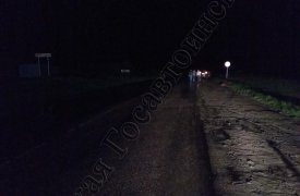 В Тульской области 21-летняя автоледи сбила двух пешеходов: пострадал 13-летний мальчик
