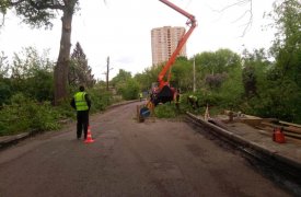В Туле на улице Демонстрации кронируют деревья