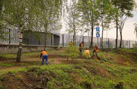 В Туле продолжается активное благоустройство территорий Центрального и Пролетарского округов