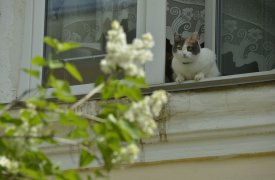 В Тульскую область вернутся дожди и похолодание