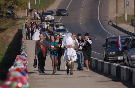 В мае-маяться: за месяц в Тульской области развелись 224 пары