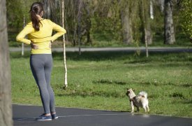 Туляки смогут выгуливать собак на территории Платоновского парка