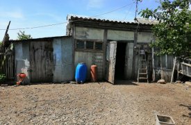 Туляку «светит» до 10 лет колонии за лабораторию по выращиванию конопли