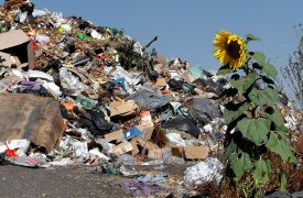 В Тульской области выявили и уничтожили несанкционированную свалку