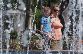 Зооуголок, экзотариум, детские площадки и аттракционы: что еще заработало на территории тульских парков?