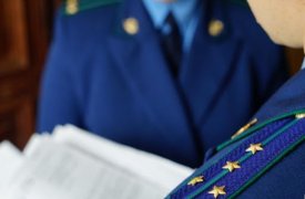 Генпрокуратура РФ поручила выяснить причины гибели тульских детей в водоемах