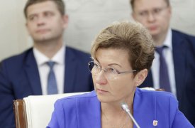 Депутат Тульской областной Думы Марина Левина слагает свои полномочия