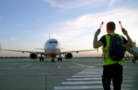 Сотрудника аэропорта Домодедово осудили за оскорбление тульских полицейских