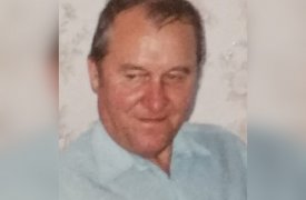 В Туле разыскивают пропавшего 79-летнего грибника