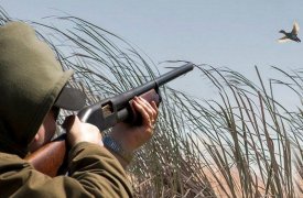 В августе в Тульской области начнется охотничий сезон