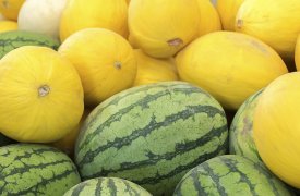 Арбузно-дынная лихорадка: как тулякам правильно выбирать, хранить и употреблять бахчевые