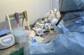 За сутки в Тульской области коронавирусом заболели 27 человек и 1 скончался