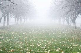 В Тульской области из-за сильного тумана объявлено метеопредупреждение