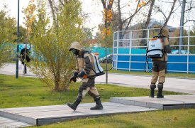 Дезинфекция домов, дворов и детских площадок: что нужно знать тулякам
