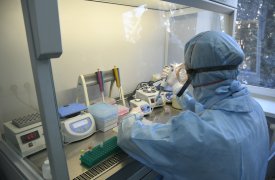 В Тульской области растет количество заражений коронавирусом: 43 новых пациента и только 17 выздоровлений за сутки