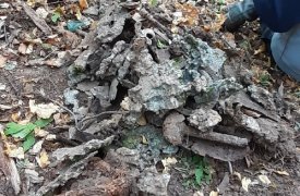 Поисковики обнаружили под Тулой сбитый немецкий самолет времен ВОВ