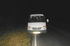 На трассе в Тульской области автобус ночью сбил пешехода
