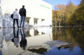 19 октября в Туле дождливо и +8
