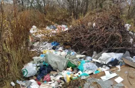 Туляки жалуются на свалки в п. Барсуки