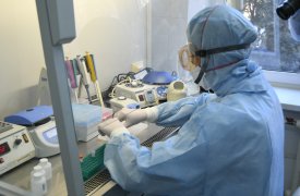 За сутки в Тульской области коронавирусом заболели 115 человек