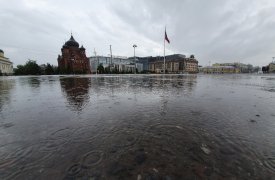 Погода в Туле 1 ноября: пасмурно, дождливо и прохладно