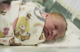За октябрь месяц в Тульской области родилось 878 малышей: впервые за год на свет появились близнецы