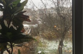 В Тульской области выпал первый снег