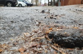 Туляки могут сообщить о гололеде в Госавтоинспекцию самостоятельно