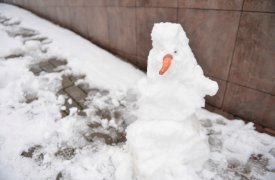 Снеговиков слепим чуть позже: сильных снегопадов в Тульской области на новой неделе не будет