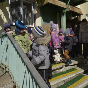 Детский сад в тульском пос. Менделеевский временно приостанавливает работу из-за высокой заболеваемости ОРВИ