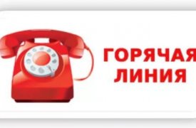 В Тульской области заработал единый федеральный номер для справок по коронавирусу