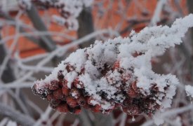 Погода в Туле 2 декабря: морозно и без осадков