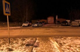 В Тульской области водитель сбил подростка и скрылся