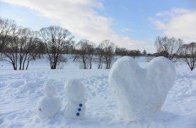 Мороз и солнце: 8 декабря в Туле ясно и холодно