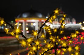 Туляки смогут украсить рождественские деревья на Казанской набережной своими игрушками