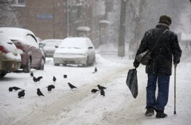 Потепление отступает: на выходных в Туле небольшой снег и до -3