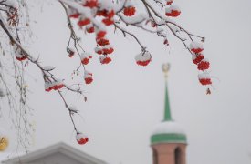 В Тулу пришли морозы: днем в областной столице похолодает до -12