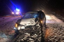 В Тульской области лось спровоцировал ДТП