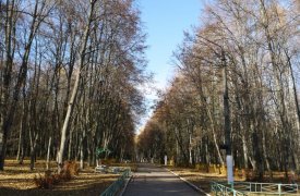 Гагаринский парк воссоздадут в Плавске Тульской области