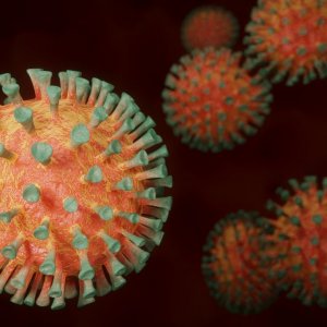 190 жителей Тульской области выздоровели от коронавируса за сутки