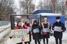 В Туле сотрудники Госавтоинспекции провели акцию «Стоп гаджет» для профилактики использования телефонов при переходе проезжей части