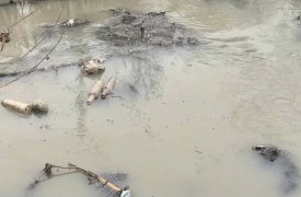 Канализацию сливают в реки Донского: сильная концентрация вредных веществ