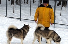 Пасмурно и не по-зимнему тепло: прогноз погоды в Туле на 27 февраля