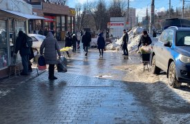 Цветочный базар в Туле в преддверии 8 марта: селфи с цветами за 100 рублей