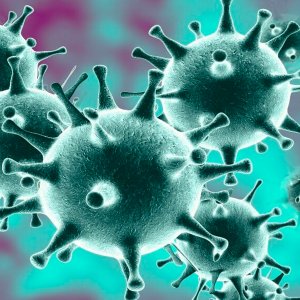8 человек скончалось от коронавируса в Тульской области